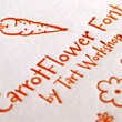 Carrotflower
